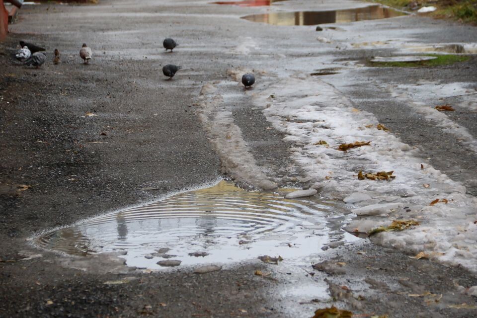    Барнаул. Ноябрь . Источник: Виталий Барабаш/"Толк"