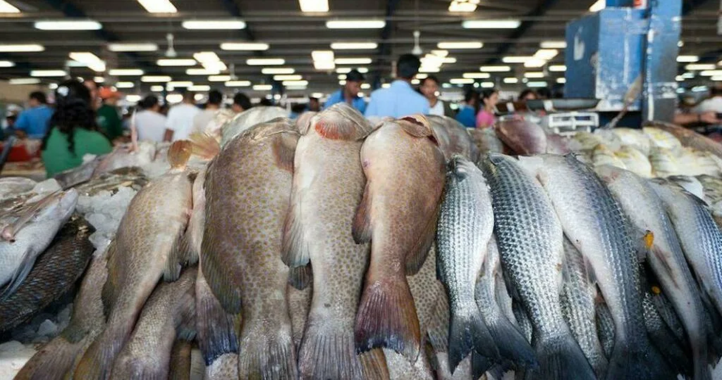 Как нет дешёвой рыбы у моря, так и нет дешёвых овощей на юге.