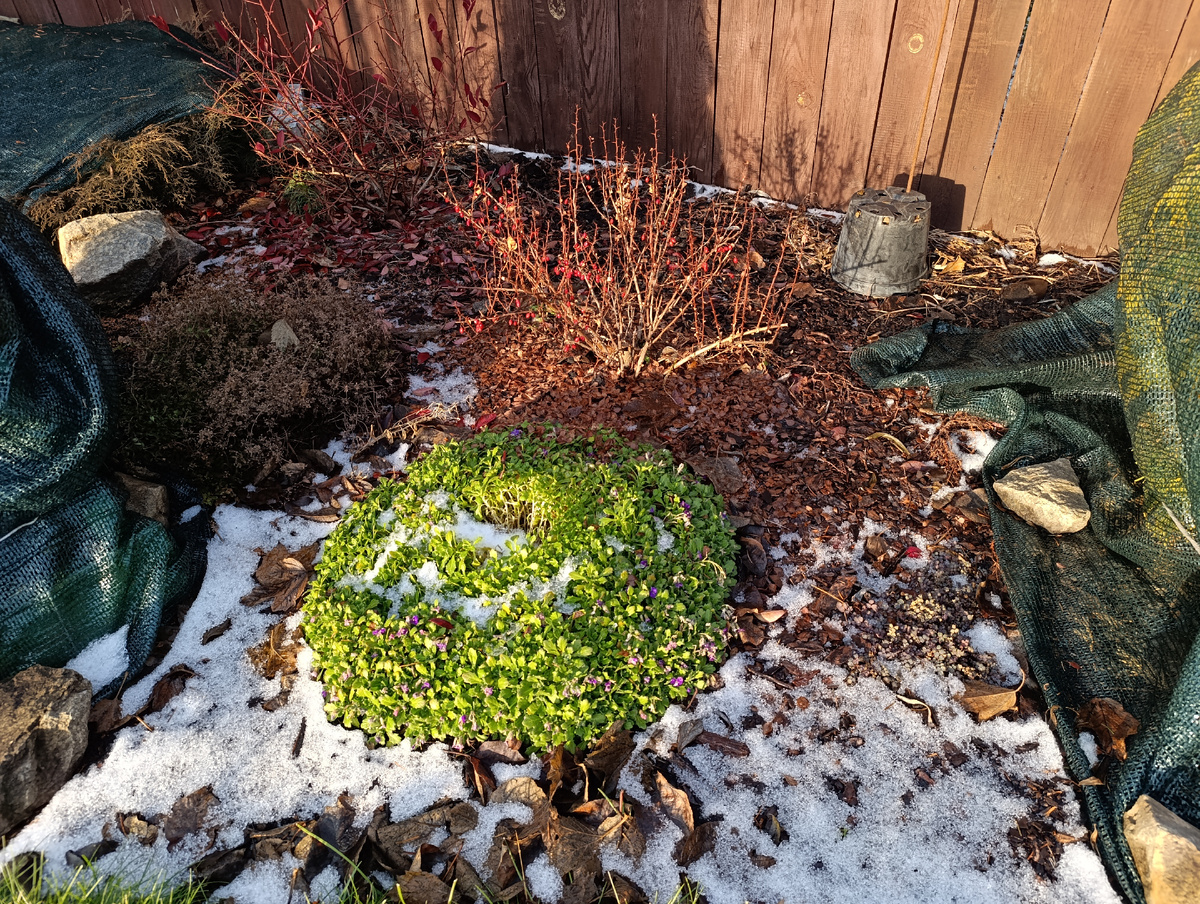 Обриета - листайте