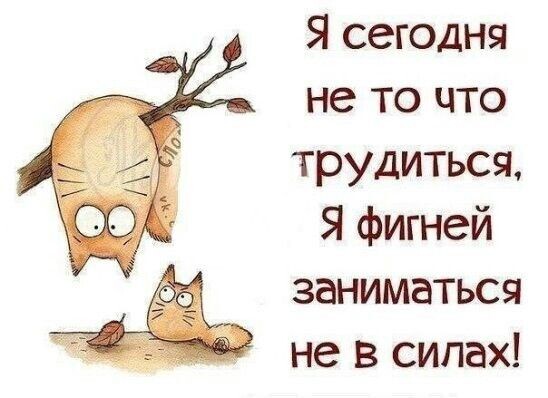 Из свободного доступа в интернете