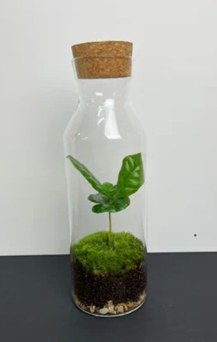 Как должна выглядеть экосистема у нормальных людей