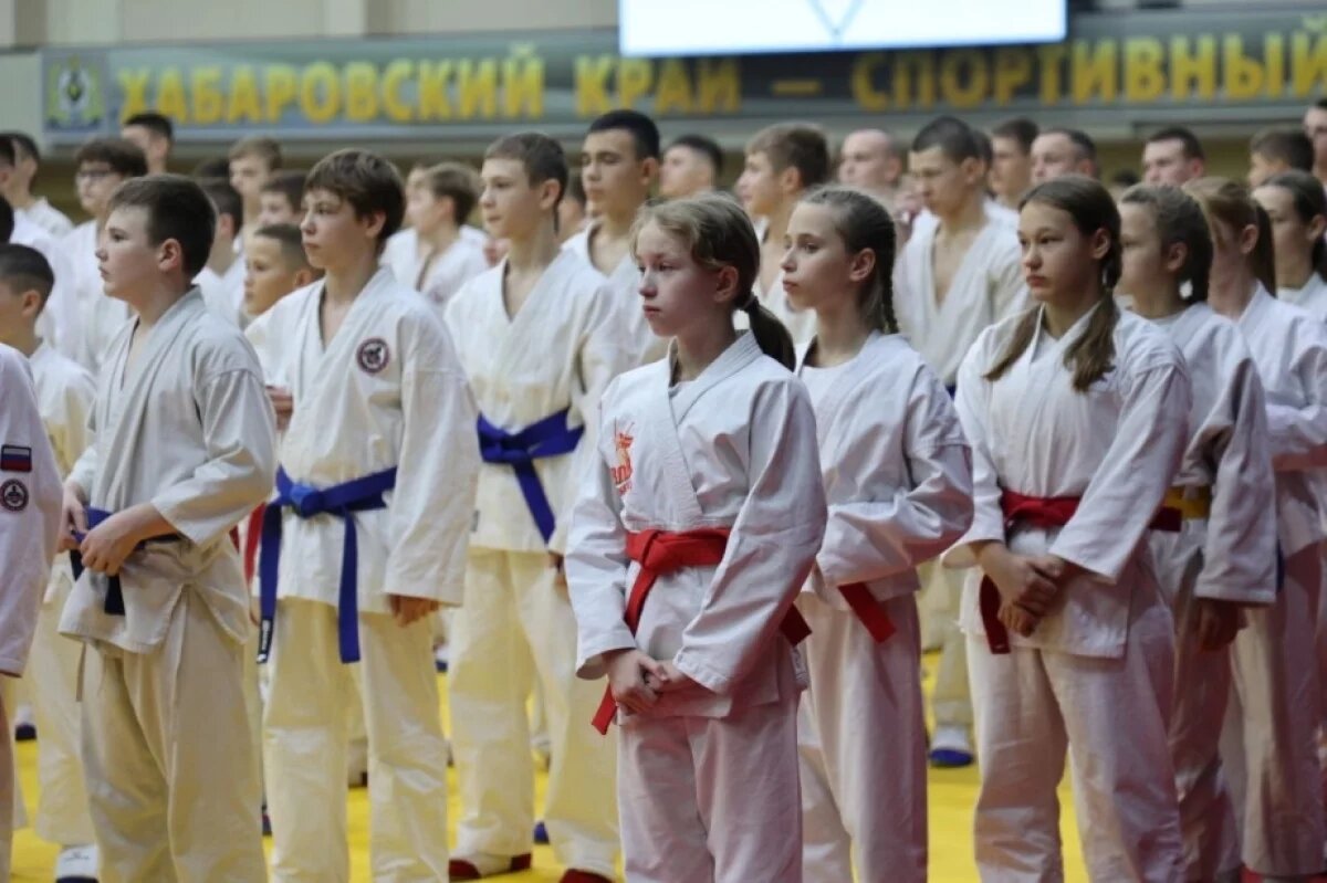    В Хабаровске стартовал фестиваль спортивных единоборств «Юный Динамовец»