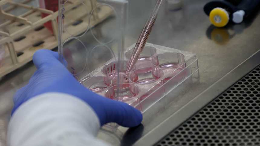    Фото: www.globallookpress.com/Gil Cohen Magen; 5-tv.ru