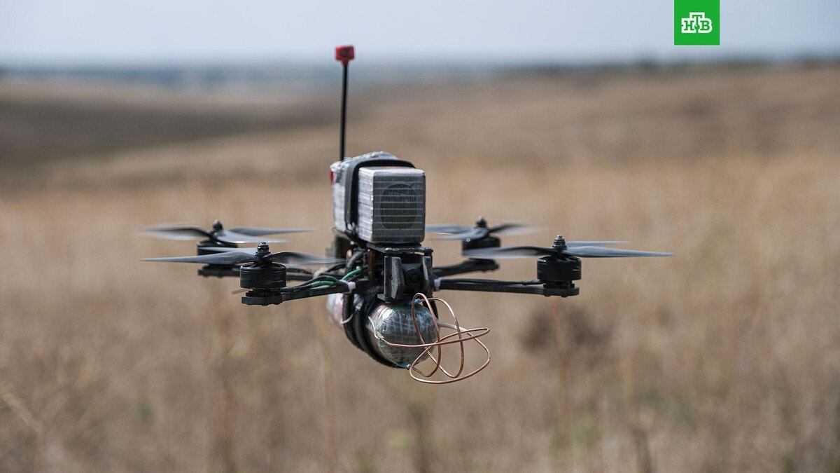    Фото: РИА Новости © 2025, Сергей Мирный