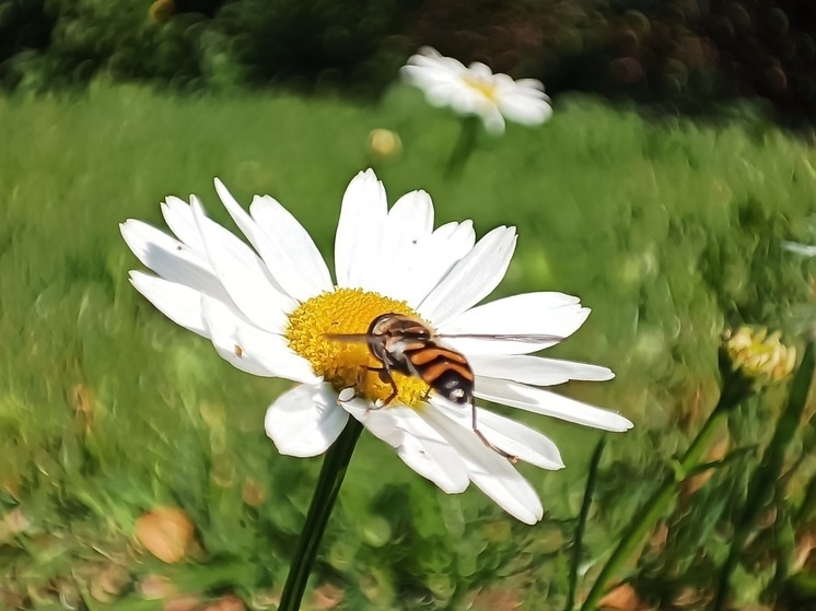     Фото: Николай Курилов / МК-Урал.