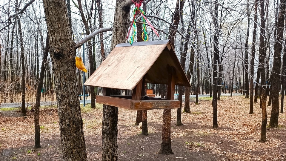     Фото: Николай Курилов / МК-Урал.