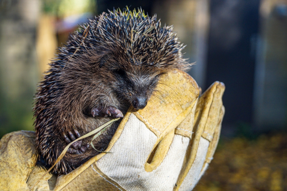    Сгенерировано в Midjourney/NEWS.ru