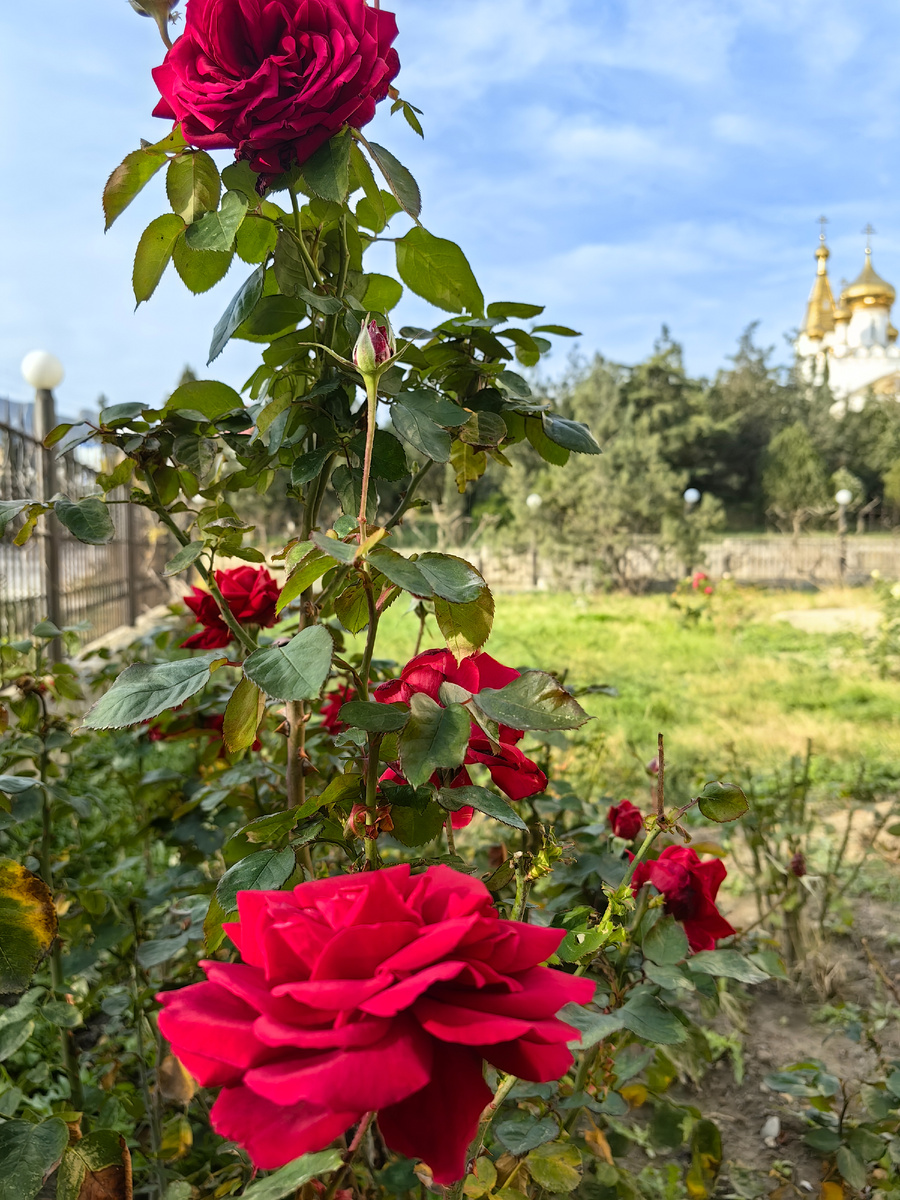 Сегодня. Фото автора канала