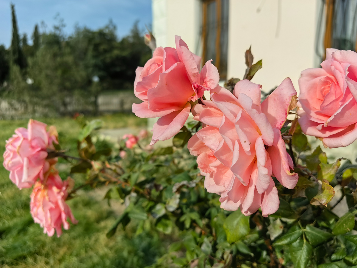 Сегодня. Фото автора канала