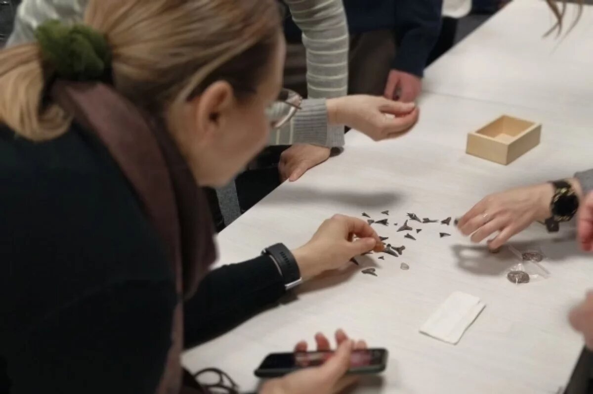    В проектах фотохудожницы Натальи Подуновой есть не только снимки, но и окаменелости с мест раскопок.