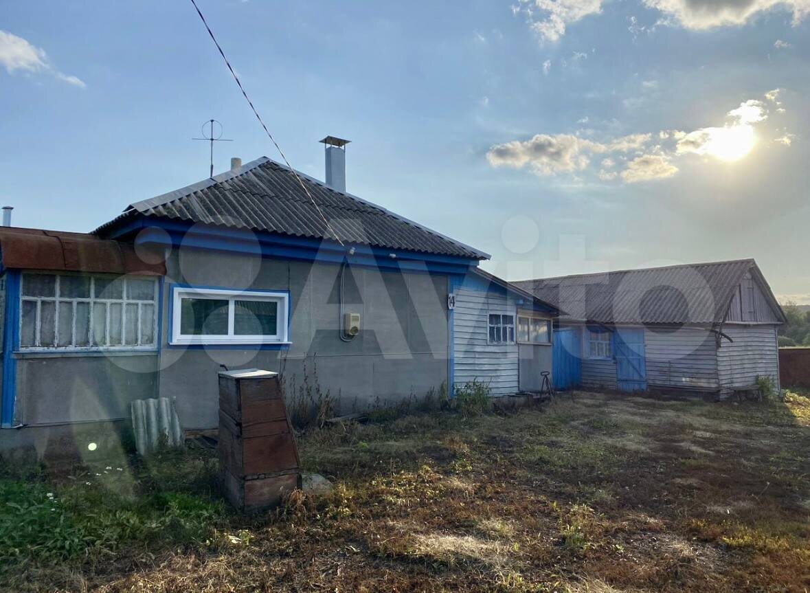 двор, где видно два крыльца, одно из них больше декоративное и им давно не пользовались