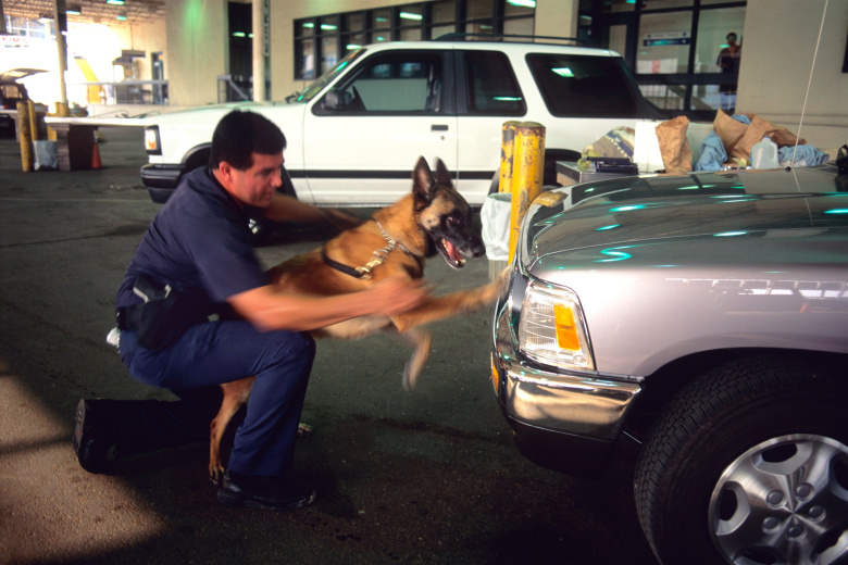    Danita Delimont/Global Look Press