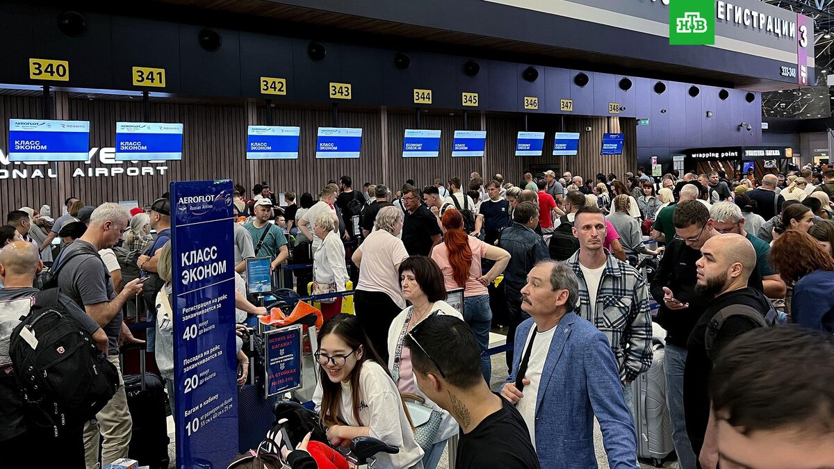    Фото: РИА Новости © 2025, Алексей Филиппов