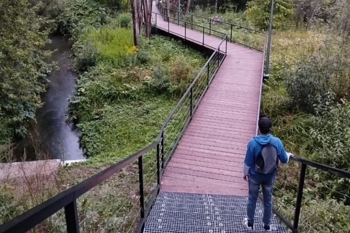    К юбилею города в Перми запустили масштабный проект «Зелёное кольцо», направленный на сохранение долин малых рек