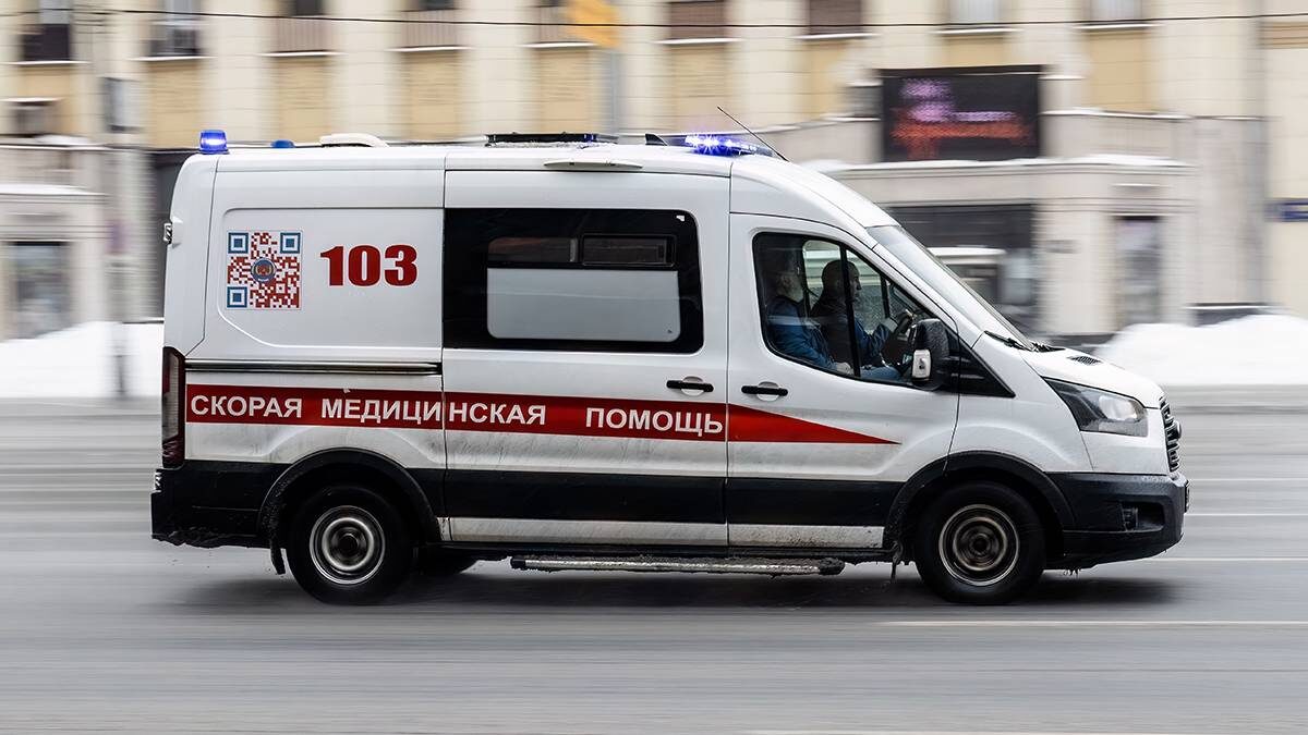    Фото: Shutterstock