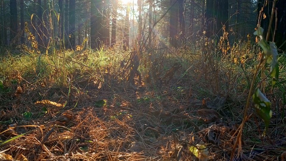 Вселенная поддержит вас во ВСЕМ, что вы выберете