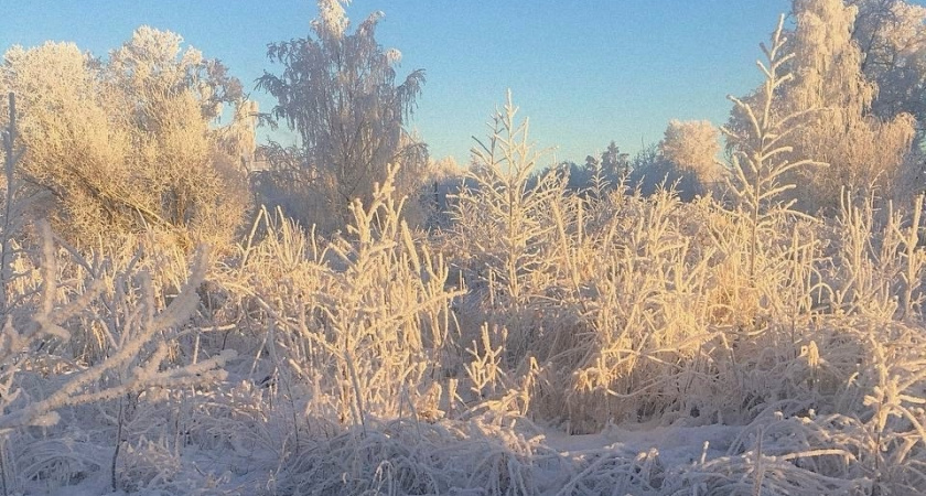    16 ноября в Воронежской области ожидается похолодание