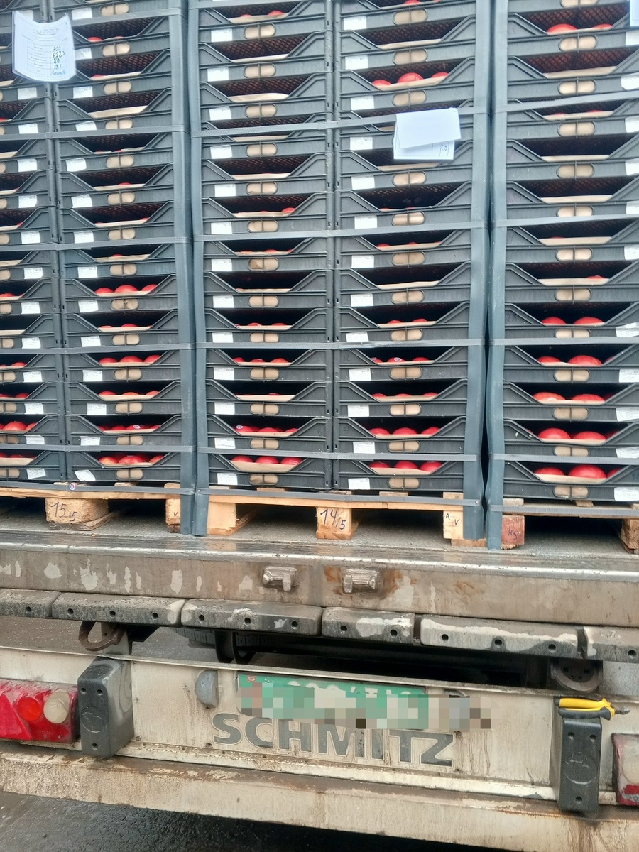    Фото Управления Россельхознадзора по Саратовской и Самарской областям