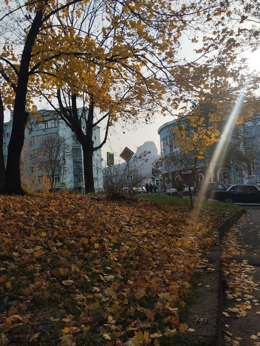 Ноябрь в наших краях ещё местами похож на октябрь, фото сделано вчера, 15 числа