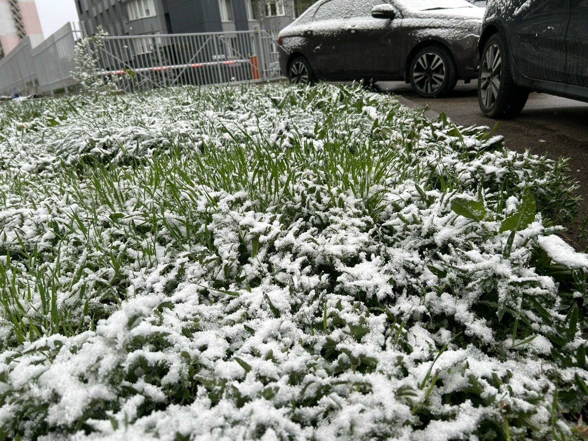    Фото: Анастасия Максименко