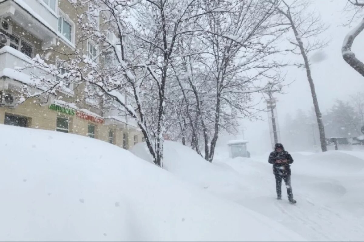    На Сахалин надвигается циклон: к началу недели ожидаются снегопады и метель