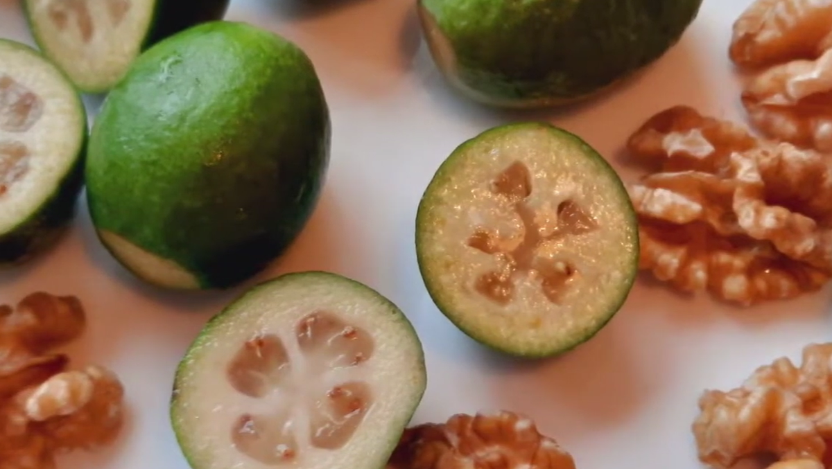 Скриншот видео