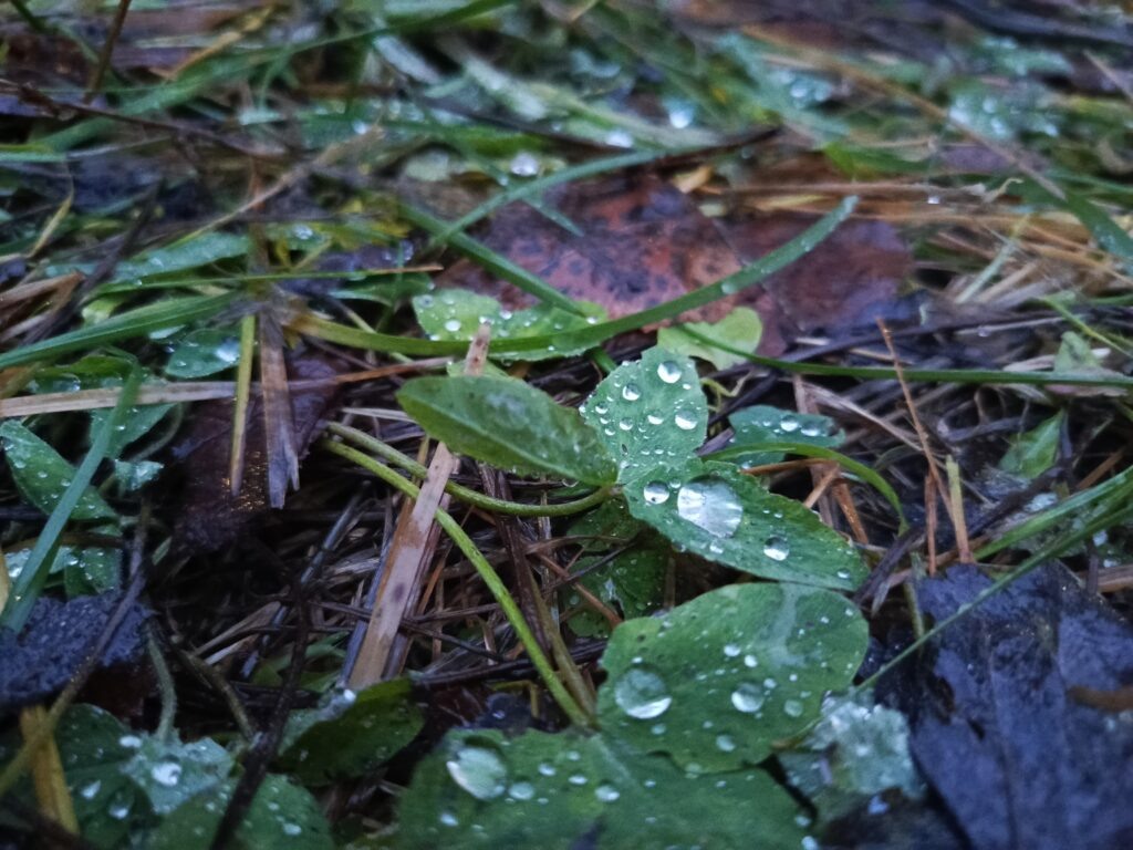    Фото: В курсе.ру Ульяна Бажанова
