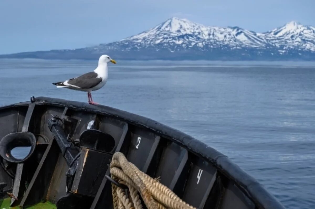    У побережья Курил ожидается шторм с волнами высотой более 4 метров