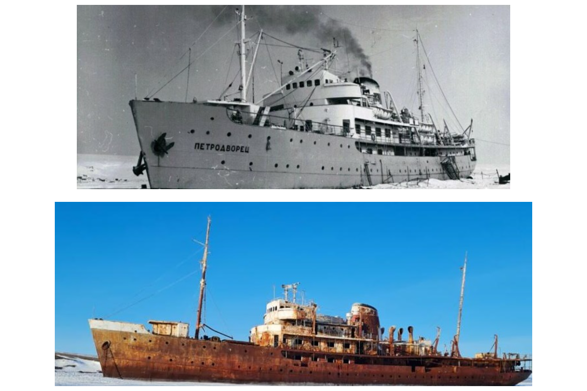    Фото: коллаж Runews24.ru, источник: vk.com