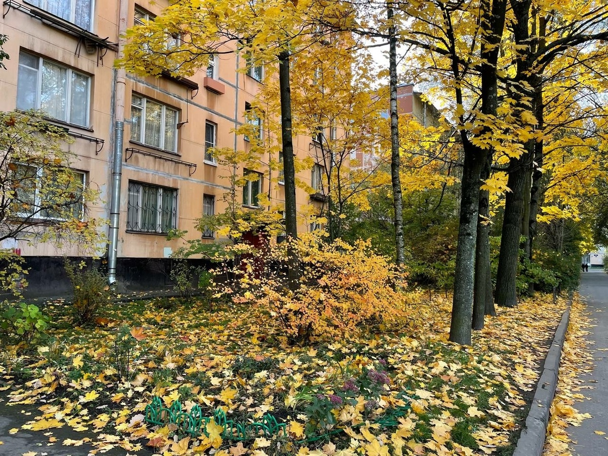 Фото: Neva.Today/Анастасия Машкова