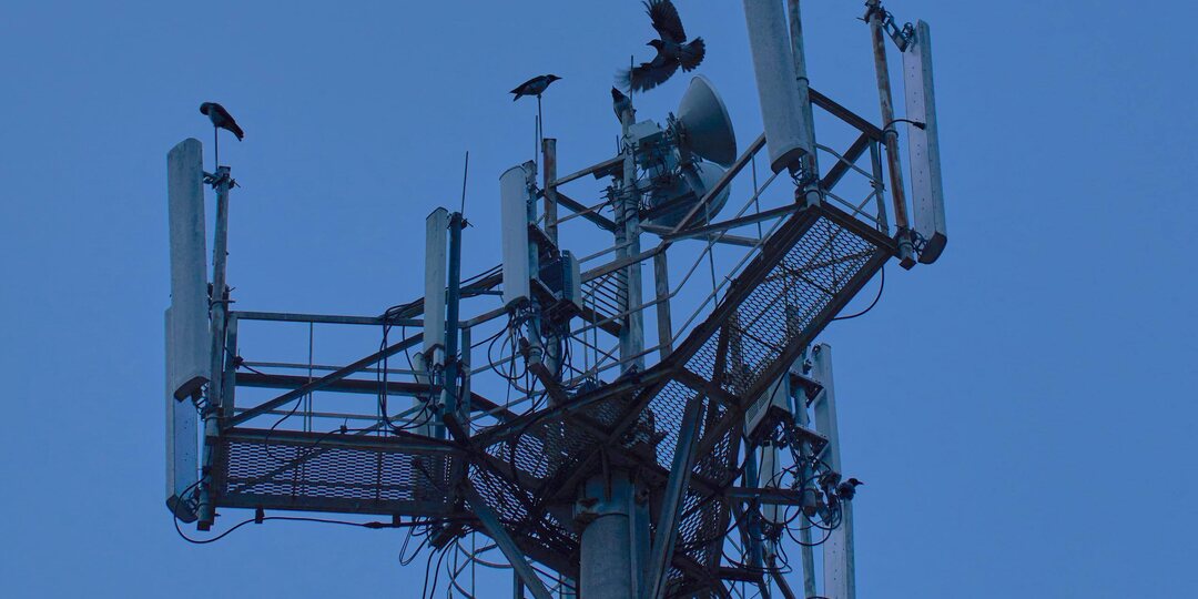 Кто сказал что ноябрь должен быть снежным? Может быть и должен, но совершенно не обязан