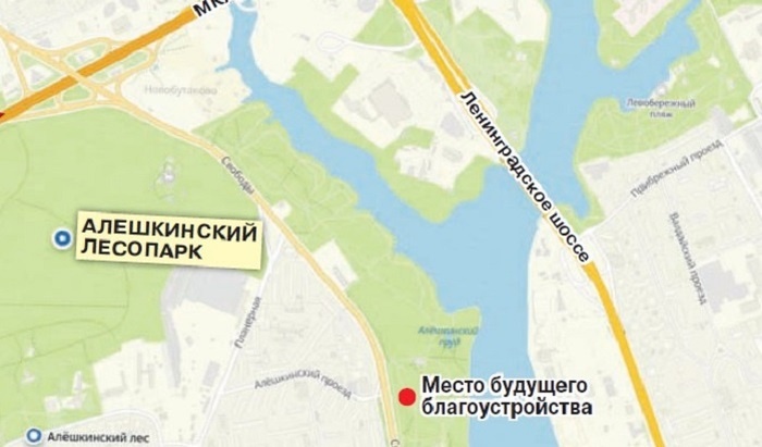    Алешкинский лес попал под застройку