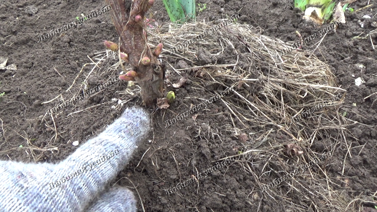 Это место должно быть под землей.