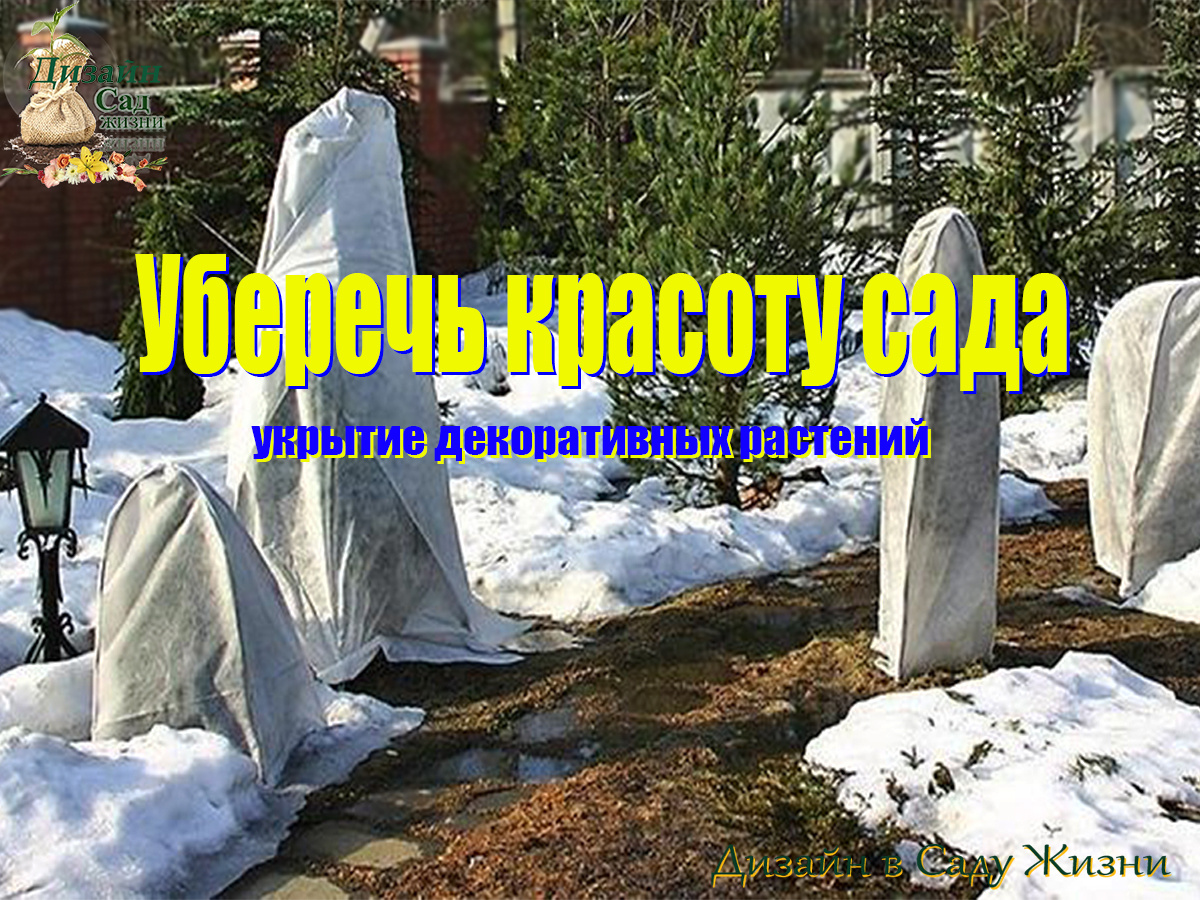 Укрытие декоративных растений на зиму