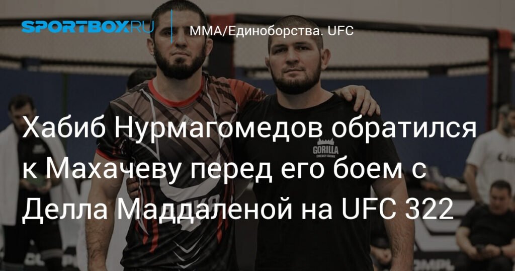    Хабиб Нурмагомедов поддержал Ислама Махачева перед титульным боем UFC (источник изображения) News Express Team