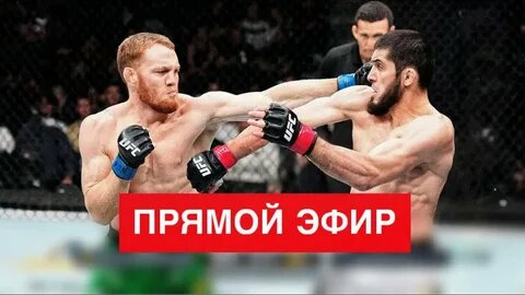 фото: картинки яндекс.