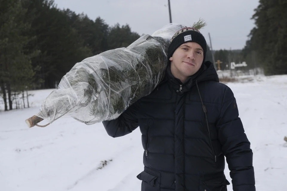    За срубленную в лесу елку может грозить штраф в три миллиона рублей Алексей БУЛАТОВ