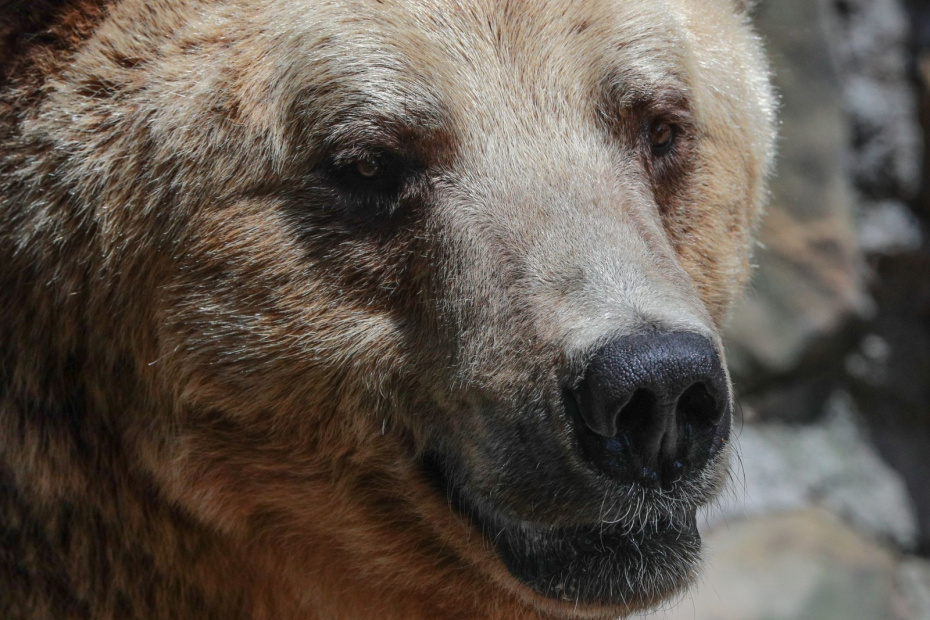    Сергей Булкин/NEWS.ru