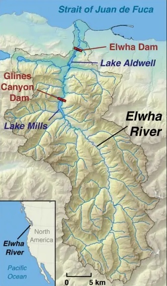 Элха — небольшая река длиной 72 км на полуострове Олимпик в штате Вашингтон, США. Красным цветом показаны две плотины