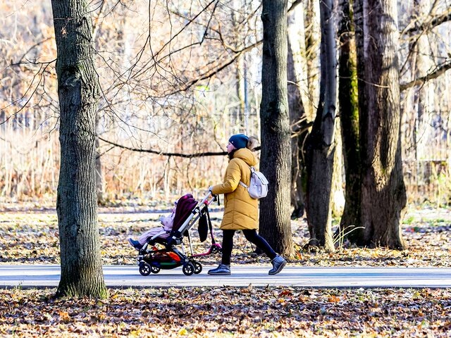    Фото: Москва 24/Лидия Широнина