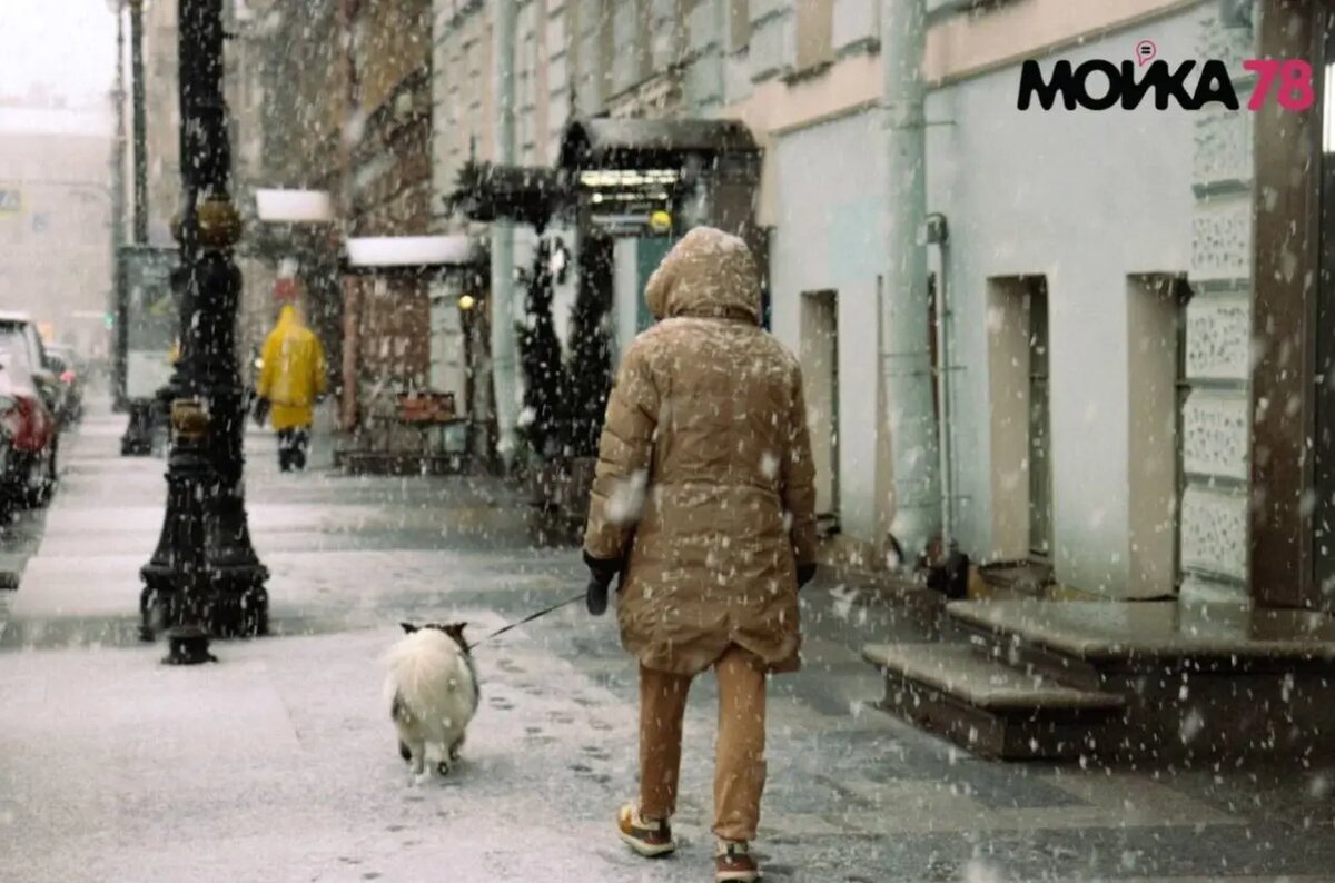    Фото: Мойка78.