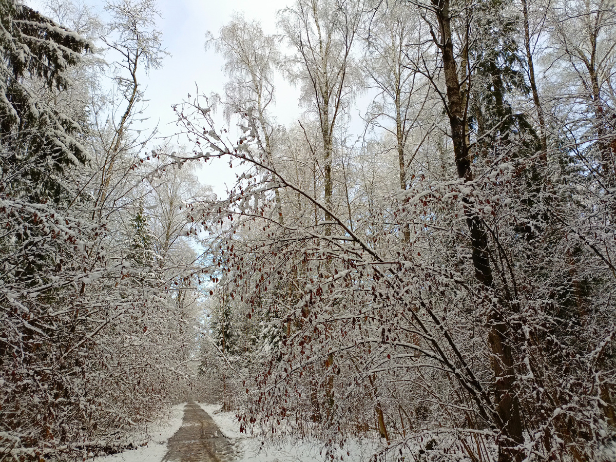 Зимнее кружево