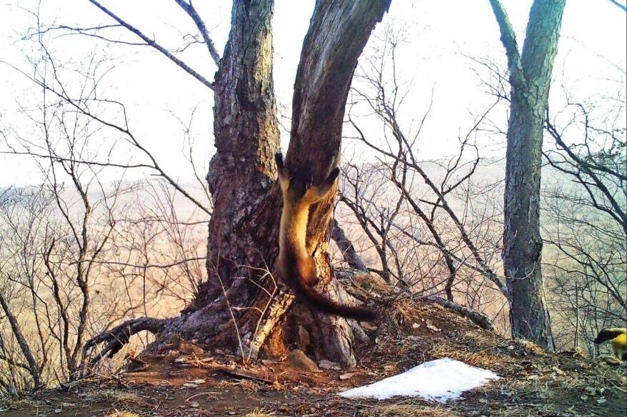    Источник фото: