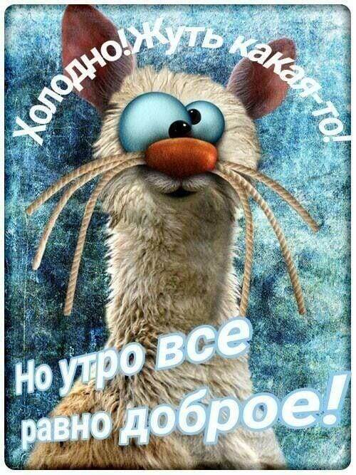 Из открытого источника. 