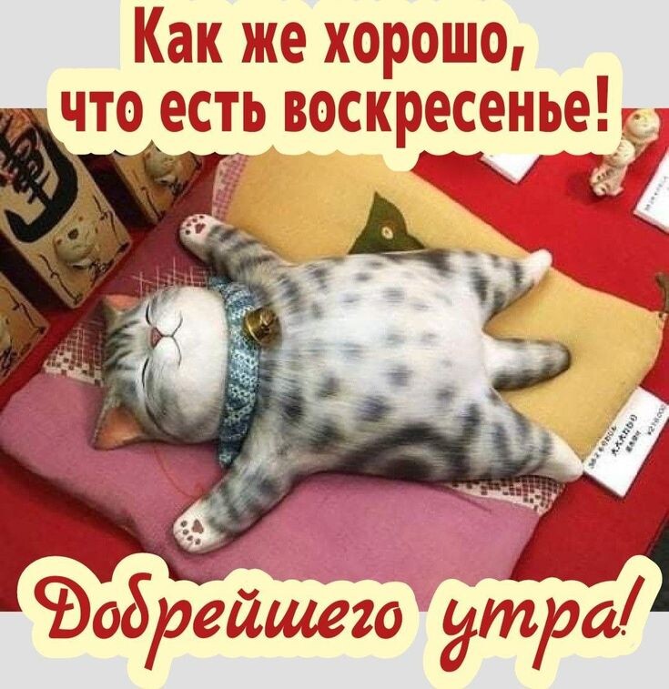 Из открытого источника. 