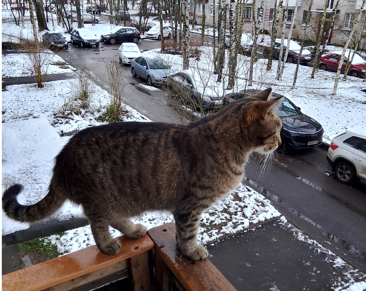 ФОТО АВТОРА