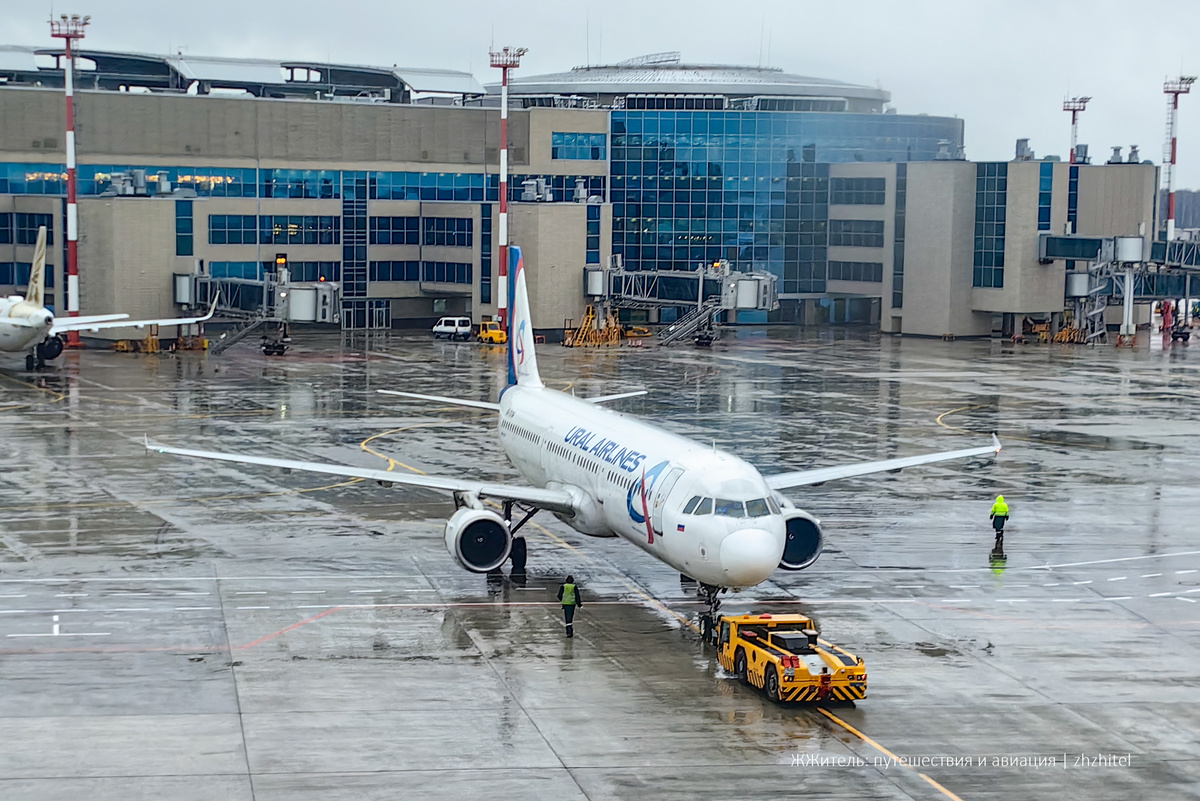 Самолет авиакомпании «Уральские авиалини» в аэропорту Домодедово