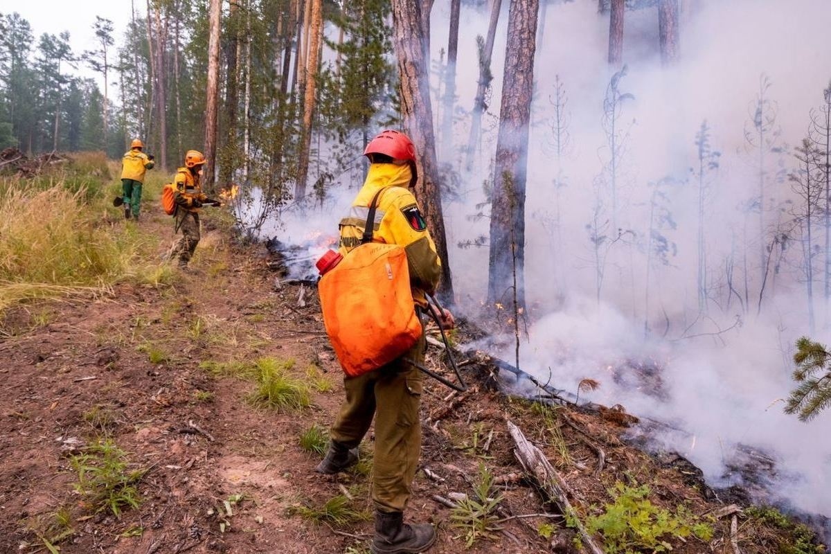    Лесные пожары этого года обошлись Югре в 536 миллионов рублей