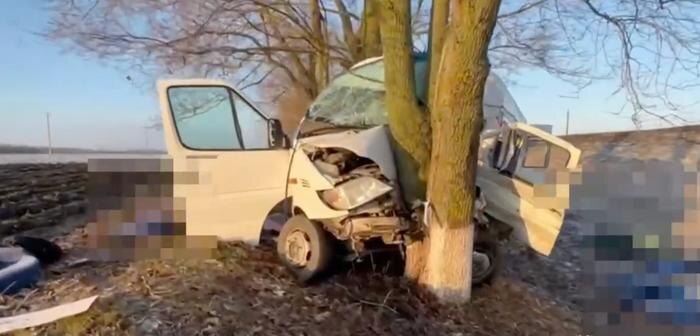 Обложка © Госавтоинспекция Белгородской области