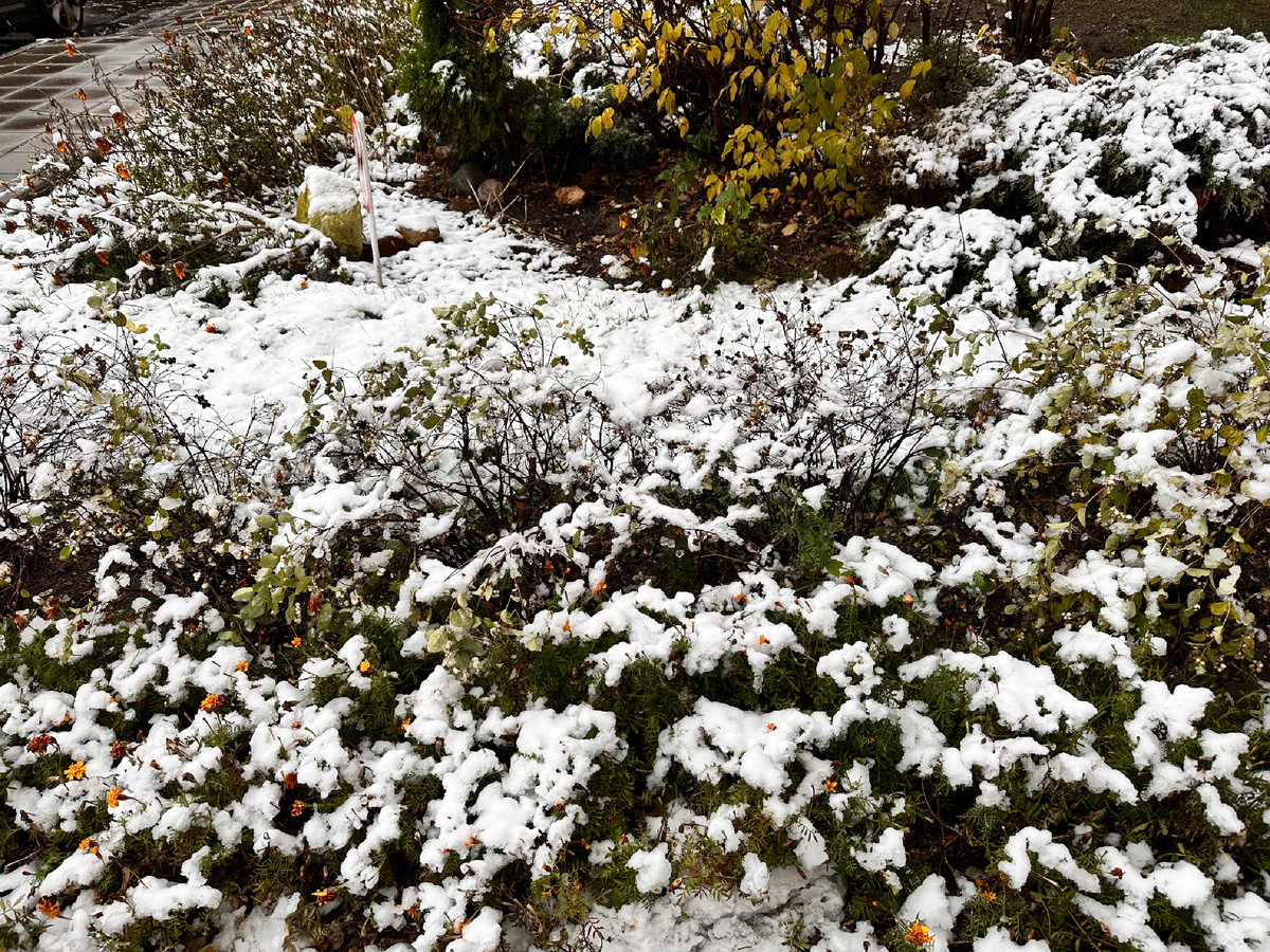 Во дворе в субботу